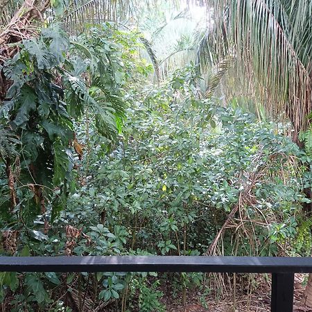 Selva Linda Lodge Vacation Rentals Quepos Exterior photo