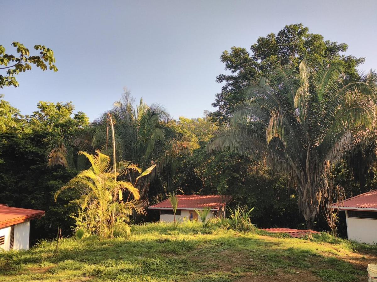 Selva Linda Lodge Vacation Rentals Quepos Exterior photo