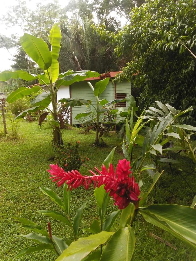 Selva Linda Lodge Vacation Rentals Quepos Exterior photo