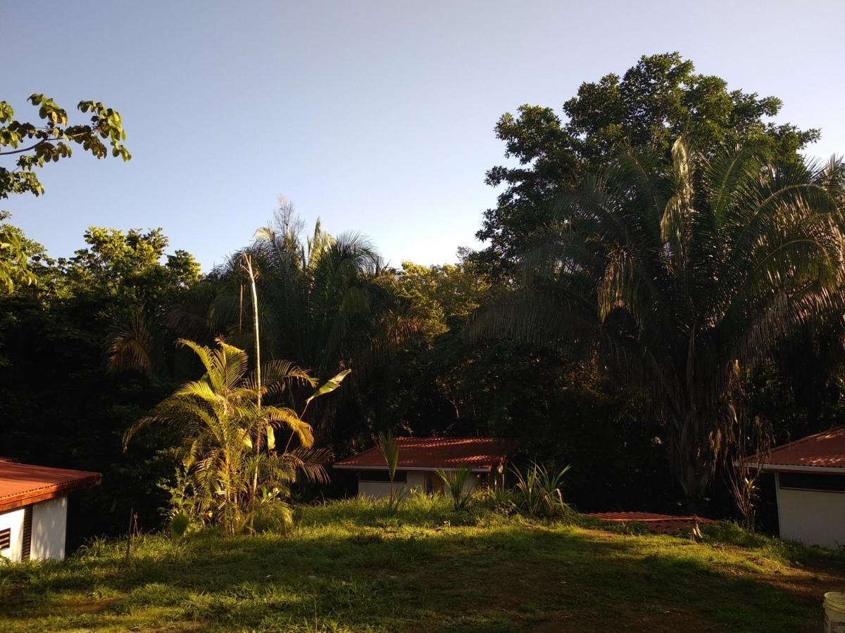 Selva Linda Lodge Vacation Rentals Quepos Exterior photo